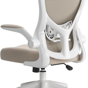 Hbada Ergonomic Desk Chair, Computer Office Chair with Flip-up Armrest&Lumbar Support, Adjustable Height, Grey