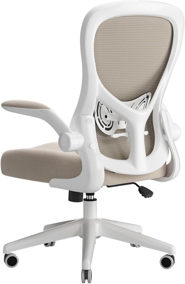 Hbada Ergonomic Desk Chair, Computer Office Chair with Flip-up Armrest&Lumbar Support, Adjustable Height, Grey